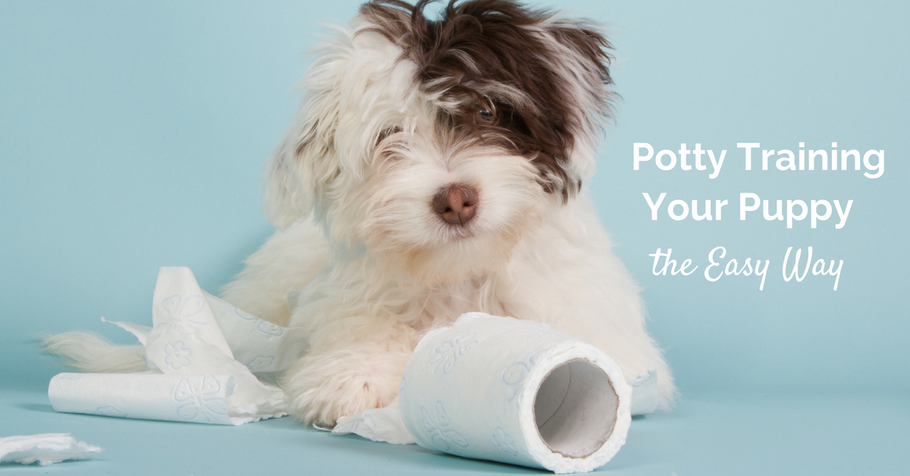 Potty Training your puppy - The Easy Way!