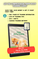 Puppy potty training puppy, quickly and easily